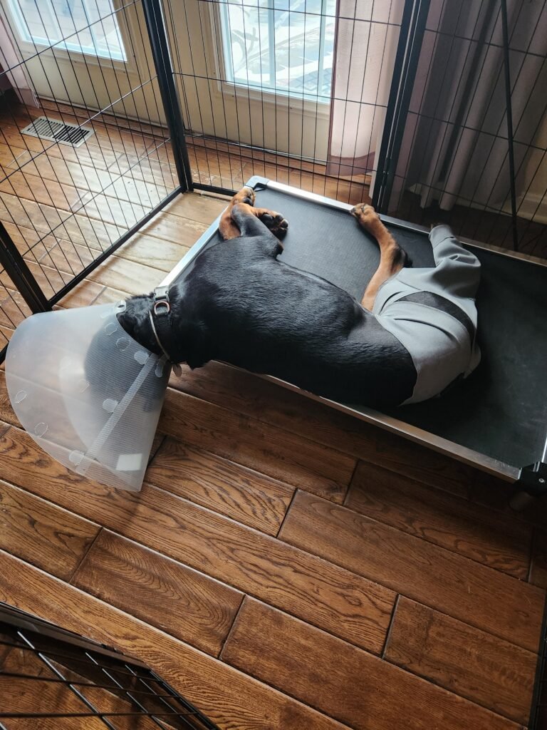 Morning After Surgery